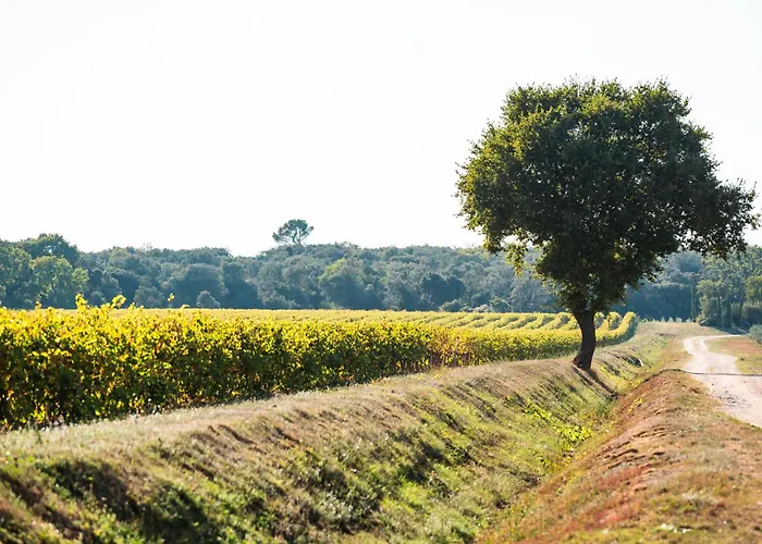 Domaine De Panery